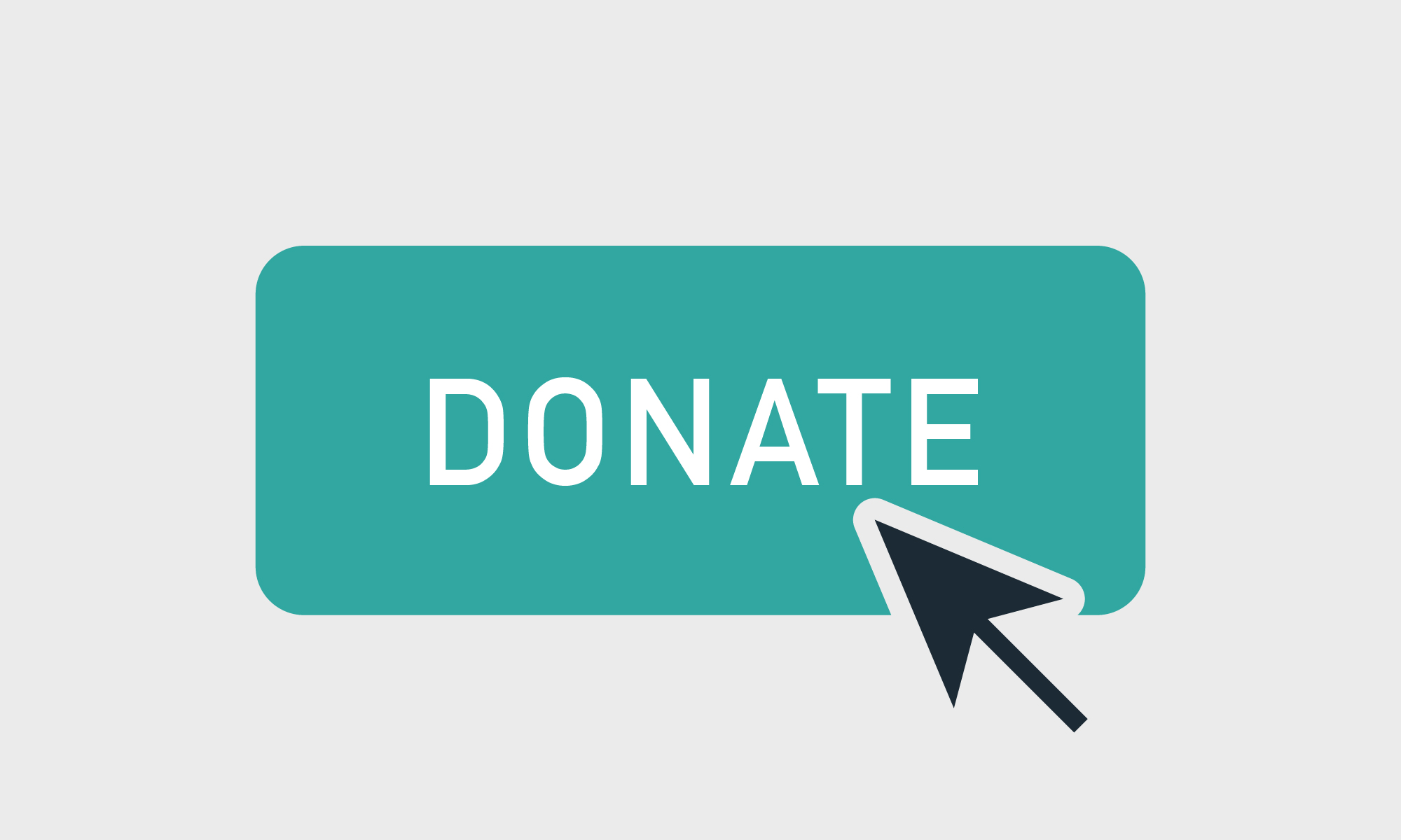 Higher Conversion on Donation Page on Nonprofit Website