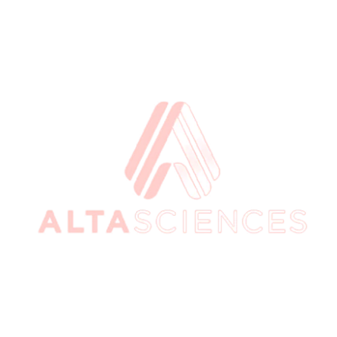 Alta